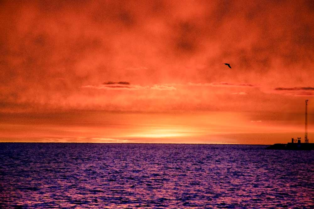 Stort billede af rød himmel ved solopgang, 29. januar 2021, Aarhus - lyddæmpende akustikkunst.