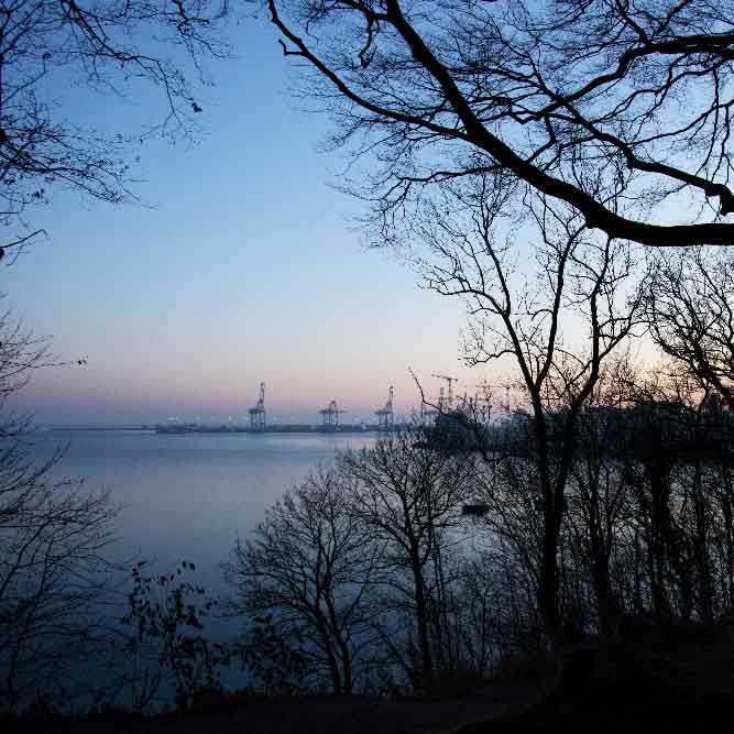 Udsigt til kranerne på Aarhus Havn fra Riis Skov. Stort foto. Lyddæmpende akustikkunst. Fotolærred.