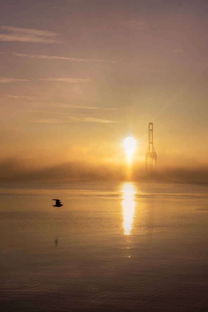 Stort billede fra Aarhus Ø med udsigt mod Aarhus Havn. Morgen i Aarhus med sol og tåge.