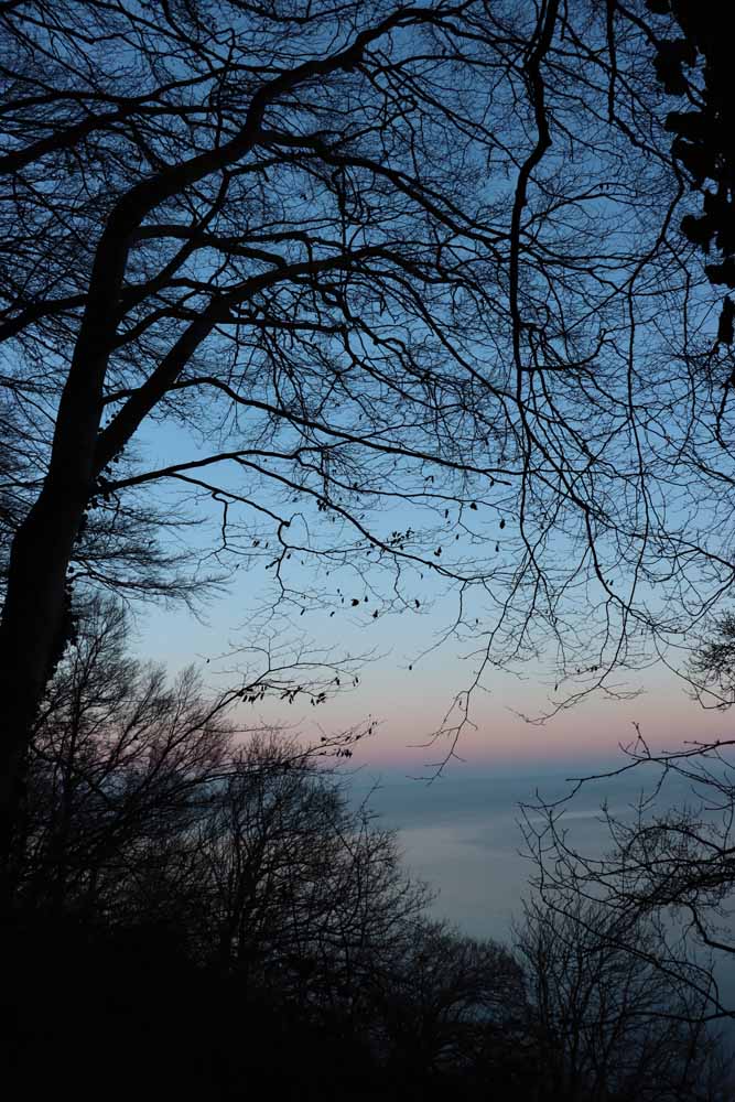 Riis Skov, fotografier fra Riis Skov, Risskov ved Aarhus