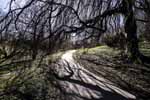Botanisk Have 1 - Aarhus - Billeder