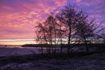 Smuk morgen i Brabrand - 3