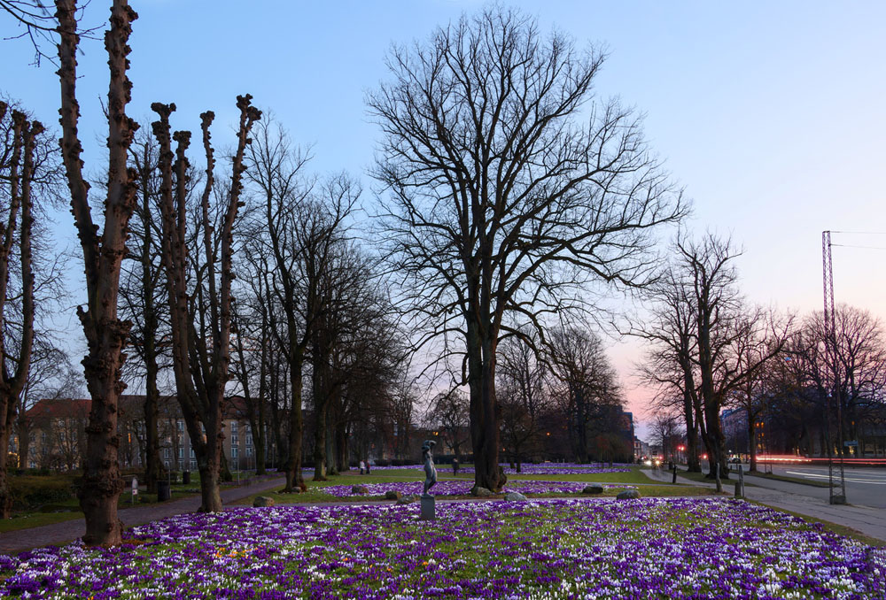 Rådhusparken Aarhus 