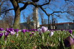 Rådhusparken Aarhus 3