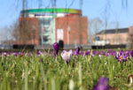 Rådhusparken Aarhus 5