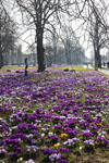 Rådhusparken Aarhus
