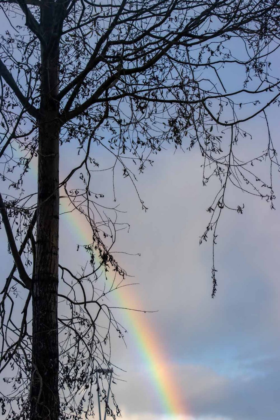 regnbue-aros-aarhus-foto